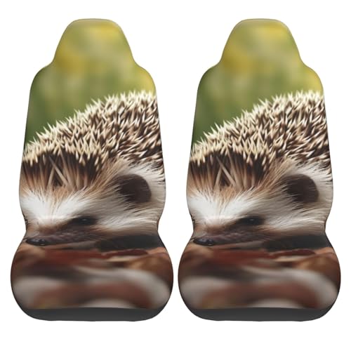 Housses de siège de voiture protectrices pour préserver votre habitacle - 3