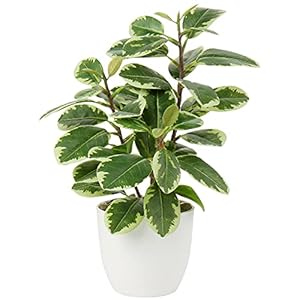 Briful Künstliche Zimmerpflanze Kamelie Kunstpflanze Camellia Japonica im Kunststofftopf Dekorative Seidenblumen Kamelie Kunstblumen für Home Hotel Dekoration