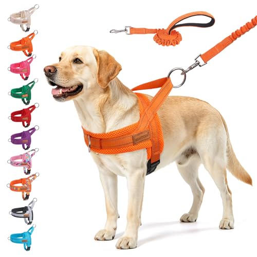 BEAUTYZOO Dog Harness for Large Dogs,No Pull Step in Pet Vest and Leash Set