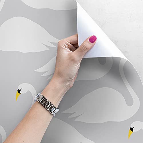 Papier peint cygnes grand format pour masquer les défauts des murs de salon - 4