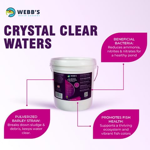Webb's Water Gardens Całoroczne bakterie stawowe z paczkami jęczmienia – nośność do 2000 galonów – 12 opakowań dla łatwego nakładania – 2,3 kg – idealne do oczyszczania wody w stawie i utrzymania
