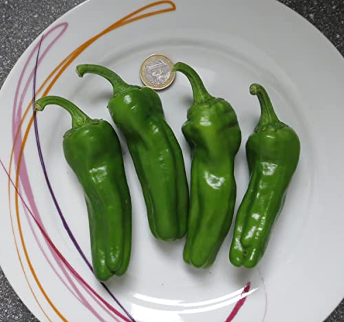 Chili Set 20 Sorten Samen Saatgut einzelnd verpackt von pikant bis extrem scharf aus aller Welt Peperoni