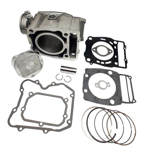 Kit bloc-cylindres pour R500 3086811 remplace les pieces usées du moteur
