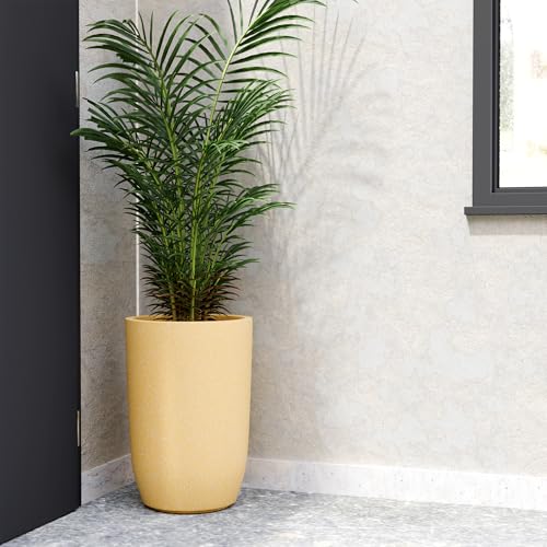 Image of YUCCABE ITALIA FOXB TPC 18 INCH Pots for Plants Highly Durable Polymers Lightweight Indoor Outdoor Plant Pots, Flower Pot Gamla Tree Planter Container Planters for Living Room, Balcony, Garden