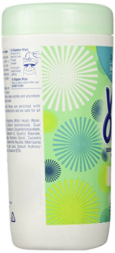 Wet Ones Sensitive Skin Hand Wipes, Extra Gentle 40 Count Canister (Pack of 4)