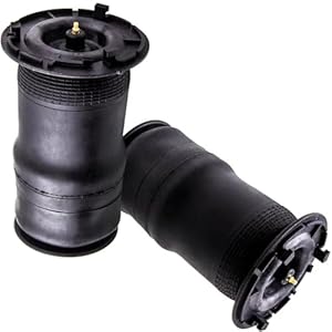 DZWDY Luftfederung für Isuzu Ascender (2 Stück)