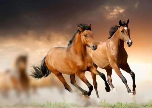 Peinture sur toile cheval au galop Baibexing 60x90cm