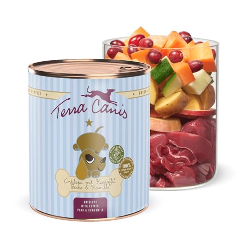 Welpen Terra Canis Antilope, Birne, Kastanie & Kamille - Welpen Nassfutter, 800g I Premium Hundefutter in 100% Lebensmittelqualität Aller Rohstoffe I Reichhaltig & gesund I Getreide - & glutenfrei