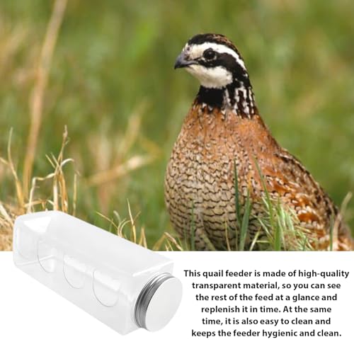 Futterspender für Wachteln – transparenter Futterspender für Küken, Vogeltränke mit 4 Ports, kompaktes Flaschendesign | Futterzubehör für