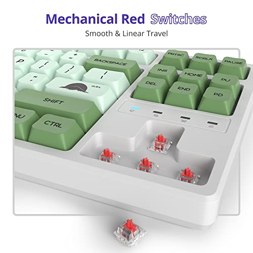 Image of Fogruaden 75% Mechanical Keyboard with Red Switch, RGB Backlit Gaming Keyboard, 87 Keys Compact TKL Wired Keyboard for Win /Mac Laptop PC Gamer - Matcha