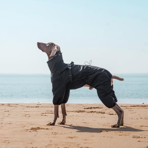 PAWBOSE Hunderegenmantel mit Geschirr für mittlere und große Hunde, verstellbare wasserdichte Hunderegenjacke, reflektierender regenfester Hunde 4 Beine Regenmantel Schwarz, 4XL
