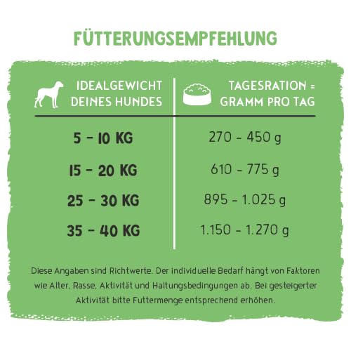 Bosch Freshe Schnauze, Pute mit Quinoa und Spinat 1 x 250 g, Schonend Dampfgegartes Nassfutter für Hunde, Vollwertiges Alleinfuttermittel mit hohem Fleischgehalt, 250 g Hundenassfutter