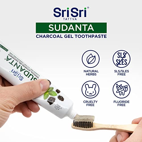 Sri Sri Tattva Sudanta Activated Charcoal Toothpaste Gel For Teeth Whitening, Healthy Gums And Fresh Breath - All Natural Fluoride Free Toothpaste For Oral Care Without Causing Sensitivity (100G) #TOP5