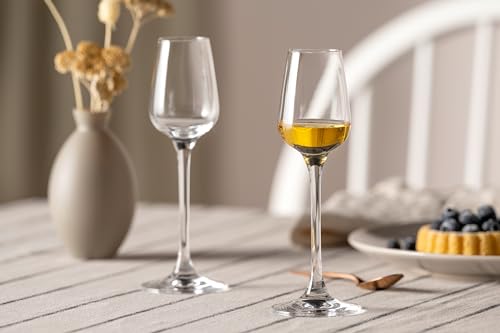 Foto von Leonardo Tivoli Digestif-Glas 6er Set, Schnaps-Glas mit gezogenem Stiel, spülmaschinenfeste Likör-Gläser, Höhe 19 cm, 10 cl, 020969