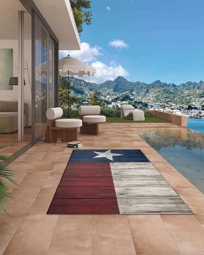 Tapete Savannan Outdoor 4x6 ft Bandera Texas miniatura 3