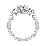 Amazon-Collection-Platinum-or-Gold-Plated-Sterling-Silver-Round-3-Stone-Ring-made-with-Infinite-Elements-Cubic-Zirconia
