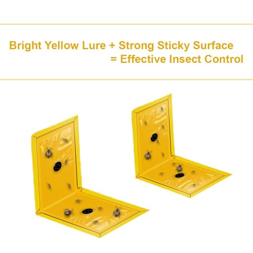 Image of Bitter Jumbo Sticky Traps for Crawling & Flying Insects | Non-Toxic, Pesticide-Free Insect Catcher Pads for Home, Kitchen, Office & Garden | Easy to Use (Pack of 3)