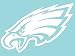 NFL Philadelphia Eagles WCR25655061 Perfect Cut Decals, 8" x 8"
