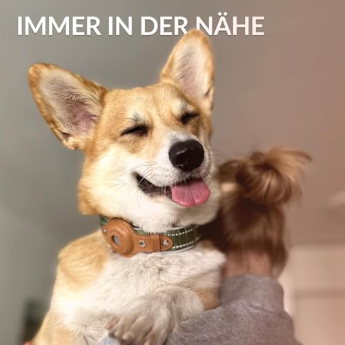 Airtag Hundehalsband, CollarDirect, Reflektierendes Hundehalsband für Apple AirTag für große, mittelgroße und kleine Hunde, Schwarz, Größe M (34-42 cm)