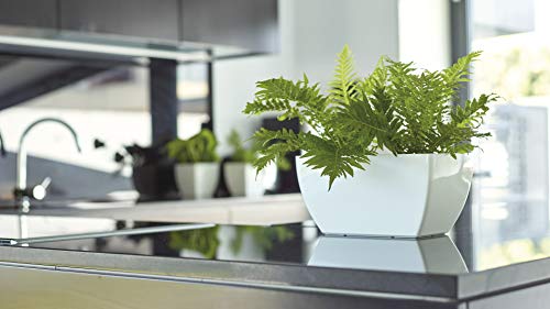 Artevasi Siena Plant Box 40 cm White - Image 2