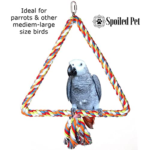 https://m.media-amazon.com/images/I/41NoXtu2qAL._SL500_.jpg