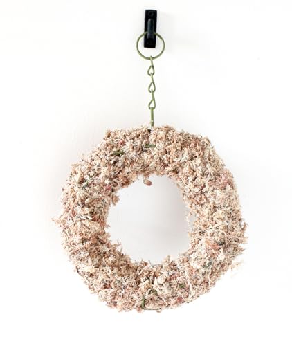 SuperMoss (22340) Living Wreath for Indoor and Outdoor Decor – Soil-Free Sphagnum Moss Wreath for Succulents, Plants, and Flowers – DIY Garden Craft for Front Door or Wall, 9”, Round