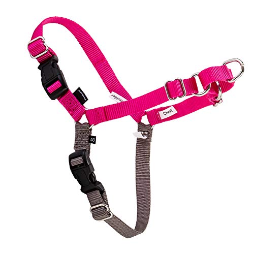 [ �y�b�g�Z�[�t ] Petsafe ���p �n�[�l�X �C�[�W�[�E�H�[�N ���^�`��^�� M/L �T�C�Y Easy Walk Harness M/L EWH-HC-M/L-RAS ���Y�x���[�s���N/�O���[ Raspberry �U�� �g���[�j���O �y�b�g �� [