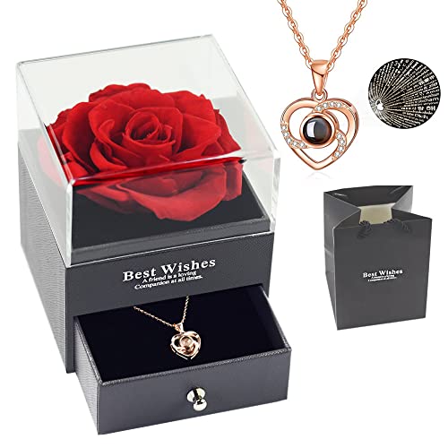 Sdfghg Preserved Real Red Rose With Love You Necklace In 100 Languages Gift Set, Enchanted Real Rose Flower For Valentine's Day Anniversary Wedding Bthday Romantic Gifts For Her #TOP1