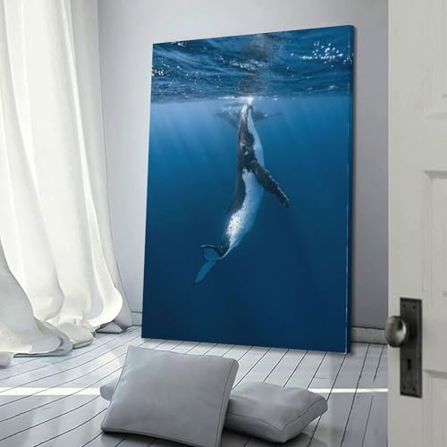Toile rorqual à nageoire 60x90 cm grand format, impression haute définition