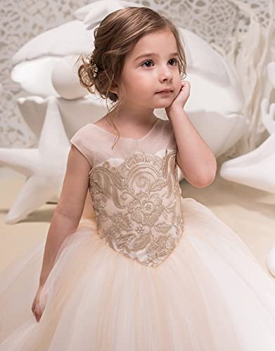 Lovely Flower Girl Dress Tulle lace Applique Princess Wedding Pageant Ball Gown2