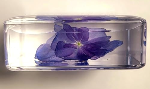 Image of 38mm Real inchNikko Blue inch Hortensia Flower in Crystal Clear Lucite Resin Specimen Sky Blue Hydrangeas Botanist Herb Herbarium Collection for Botany Science Education & Desk Ornament Display Paperweight