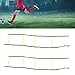 Srliya 2 Pack 4 Rung Rope Ladder Speed Training Footwork Ladder with Carry Bag for Football Basketball 2M Black Rope Yellow Rung