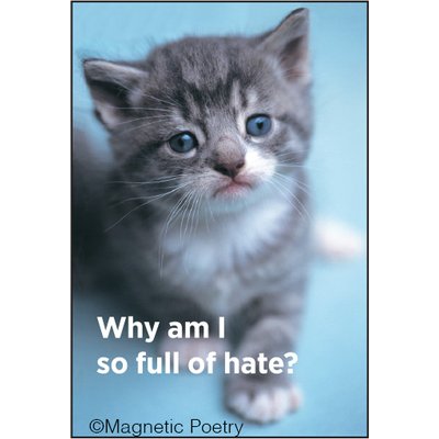 Ephemera, IncWhy am I so Full of Hate? - Rectangle Magnet