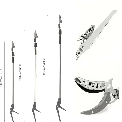 Podador extensible para árboles y recogedor de frutas miniatura 2