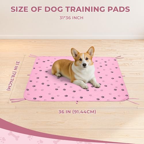 Image of Fostanfly Washable Pee Pads for Dogs, 2 Pack Large 31 inchx36 inch Ultra-Absorbent and Leak-Proof Non-Slip Reusable Potty Training Pads for Dogs, Cats, Puppy, Potty of Add 8 Lanyards, Pink