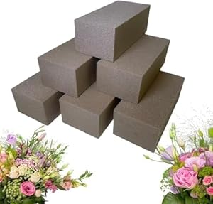 Silk Flower Warehouse Seidenblumenschaum, 6 x Trockenschaum