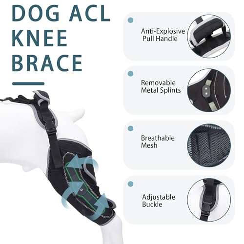 Image of Dog Knee Brace for Torn ACL Hind Leg & Luxating Patella, Multi-Functional Adjustable Rear Leg Braces for Dogs, Pain Relief, Post-Surgery Recovery, L