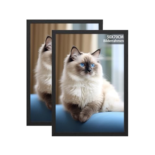 RUN HELIX 2 Pack Bilderrahmen 50x70, 50x70cm Bilderrahmen Schwarz, Aufhängbar, Posterrahmen für Wohnzimmer, Schlafzimmer, Arbeitszimmer