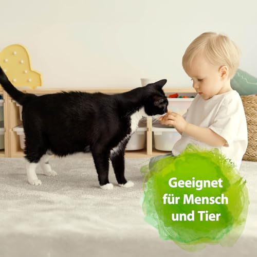 Bactador Enzymreiniger Katzenurin Spray 500ml - Katzenurin Entferner, Mikrobiologischer Geruchsneutralisierer, Katzentoiletten Geruchsentferner, Porentiefe Reinigung in der Tierumgebung