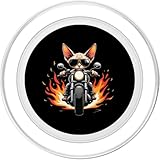 Zoom IMG-1 divertente gatto sphynx in sella Zoom IMG-1 divertente gatto sphynx in sella