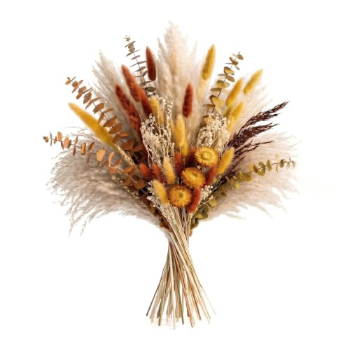 Kit 73 Pcs Flores Secas Pampas Grass DIY Decoración miniatura 1