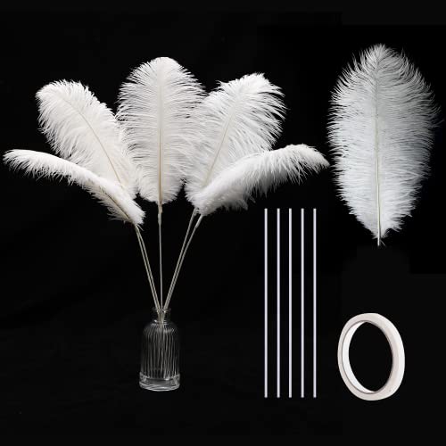 Holmgren White Ostrich Feathers Bulk - 20Pcs Making Kit 22 Inch Large Ostrich Feathers For Vase, Floral Arrangement, Wedding Party Centerpieces And Christmas Home Decorations (White) #TOP7