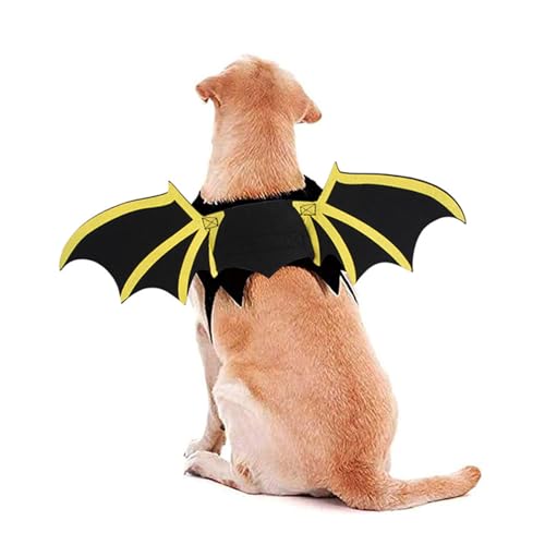Costume de chauve-souris pour chat et chien ailes légères qui ne stressent pas l'animal