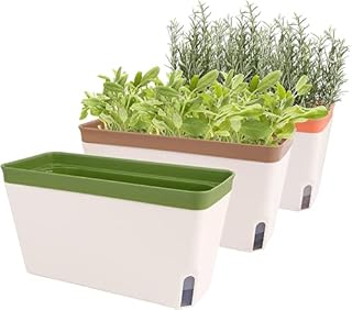 OurWarm Self Watering Plant Pots, Set of 3 10.5 Inch Rectangular Windowsill Herb Planter Box, Modern Plastic Flower Pots for Indoor Outdoor Garden Office Patio, Planters with Drainage Hole Hidden Tray