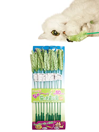 Japan Premium Pet Grün flauschig das Ohr ist EIN Katzen-Teaser. Länglich