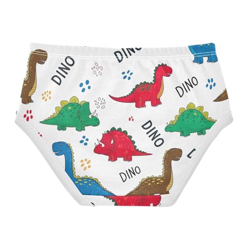 Fancy Toddlers Underwear Floral 2t Cotton Cute Panties Girl Colorful Cartoon Dinosaurs White Kids Undies Briefs2