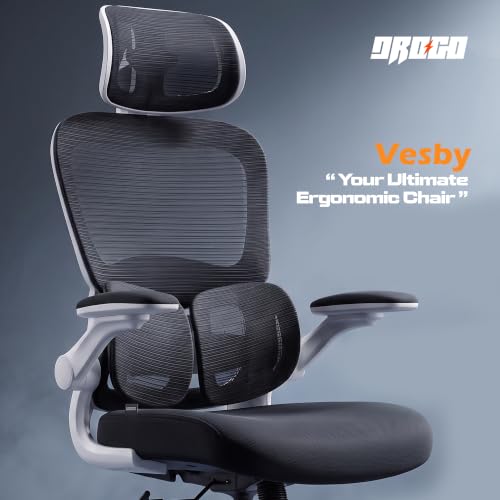 Image of DROGO Vesby Ergonomic Office Chair for Work with Dual Adaptive Lumbar Support | Breathable Mesh Computer Chair with 3D Headrest & Armrest | Gaming Chair with 135 Recline, 1-Yr Warranty(Dark Grey)