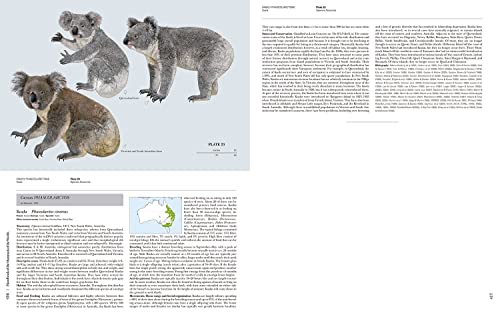Handbook of the Mammals of the World - Volume 5: Monotremes and Marsupials (Handbook of Mammals of the World) - Image 6
