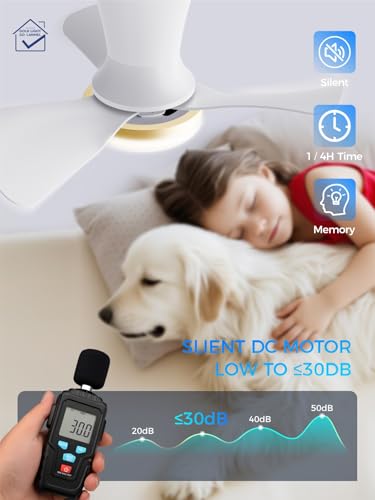 Image of LANMEL 22 Inch Flush Mount Ceiling Fan with Light and Remote, Low Profile Modern Ceiling Fan, 6 Speed, Reversible, 3000k-6500k Dimmable LED, Quiet DC Motor for Indoor Outdoor, White Gold