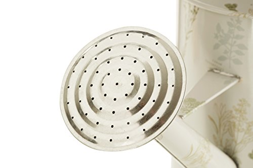 Premier Housewares 2450022 5 Liter Gießkanne – Natur/Grün